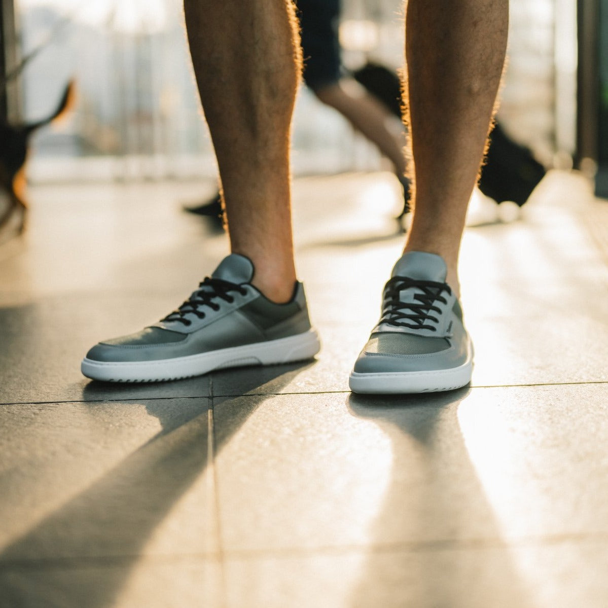 Barfuß-Sneaker Barebarics Bravo - Grau & Weiß