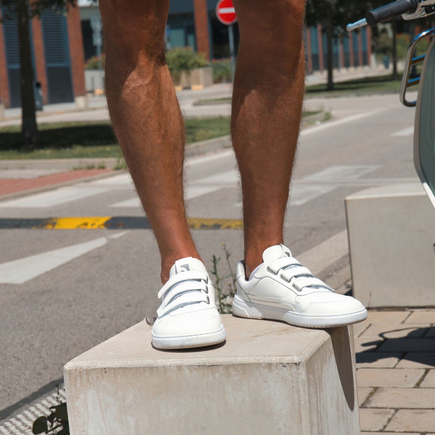 Barfuß-Sneaker Barebarics Zing Velcro - All White - Leder