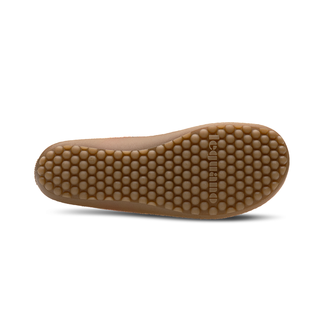 Leguano Caribeo Rose