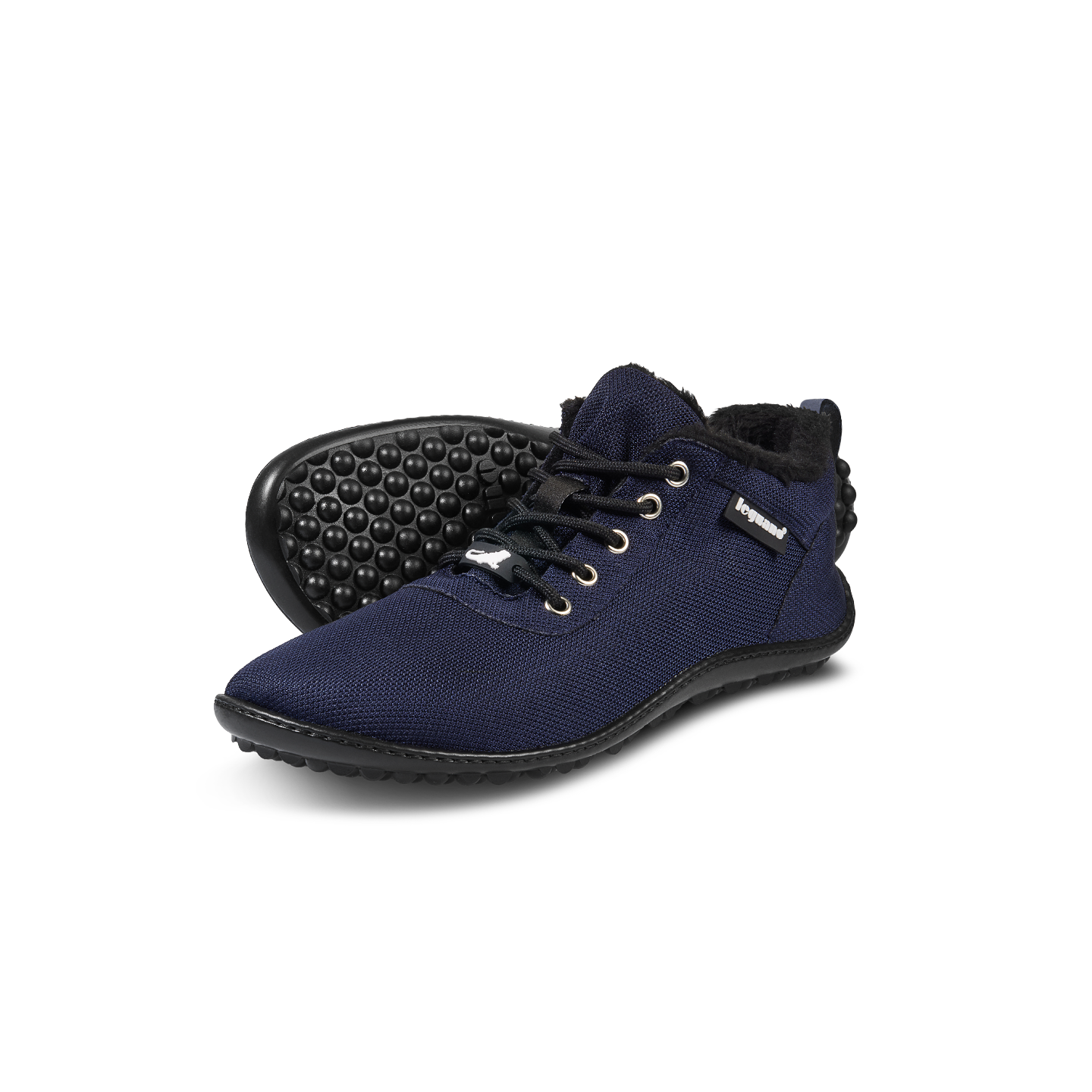 Leguano Glaxo Blau