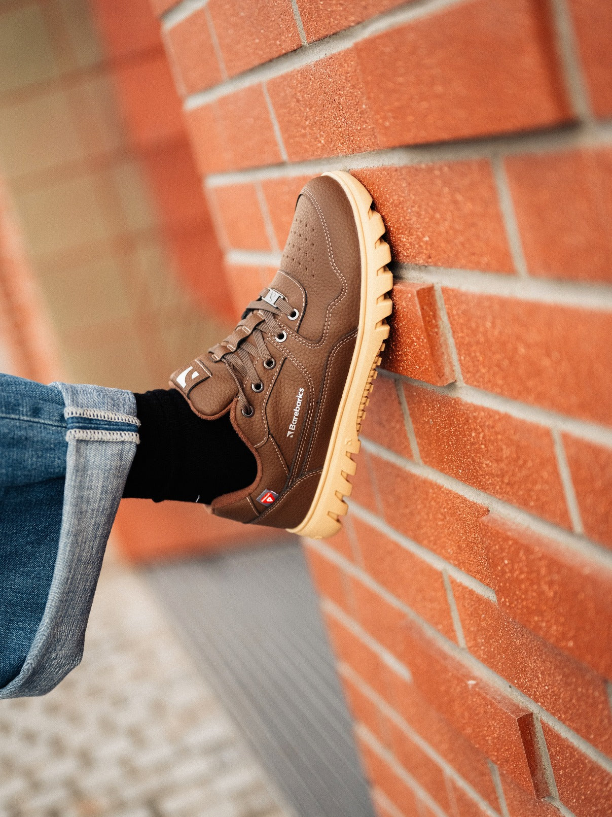 Barefoot Sneakers Barebarics Zing Frost - Dark Brown