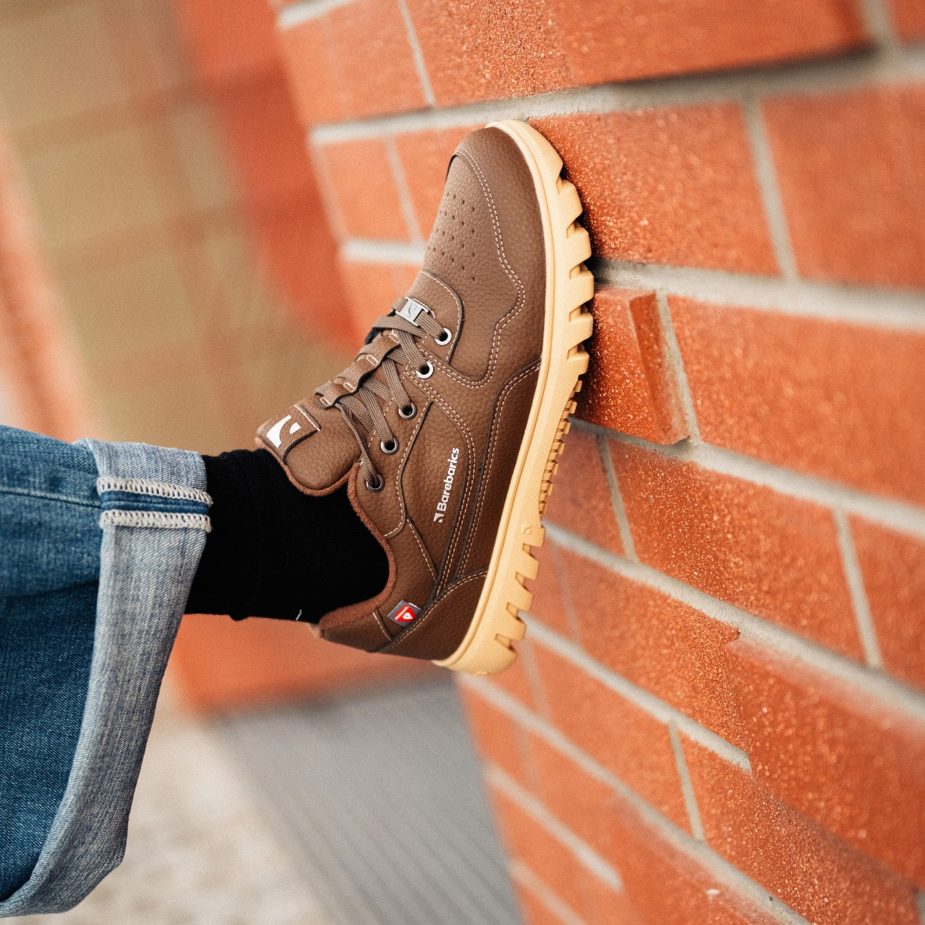 Barefoot Sneakers Barebarics Zing Frost - Dark Brown