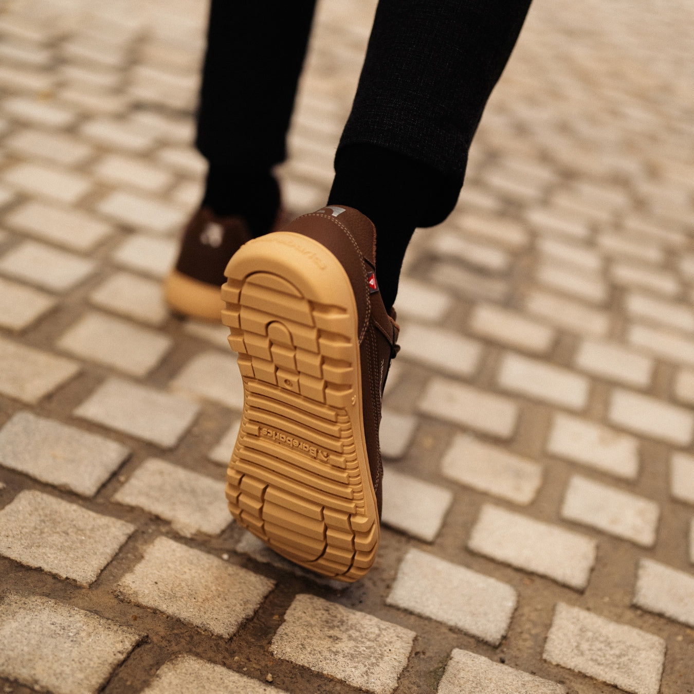 Barefoot Sneakers Barebarics Zing Frost - Dark Brown