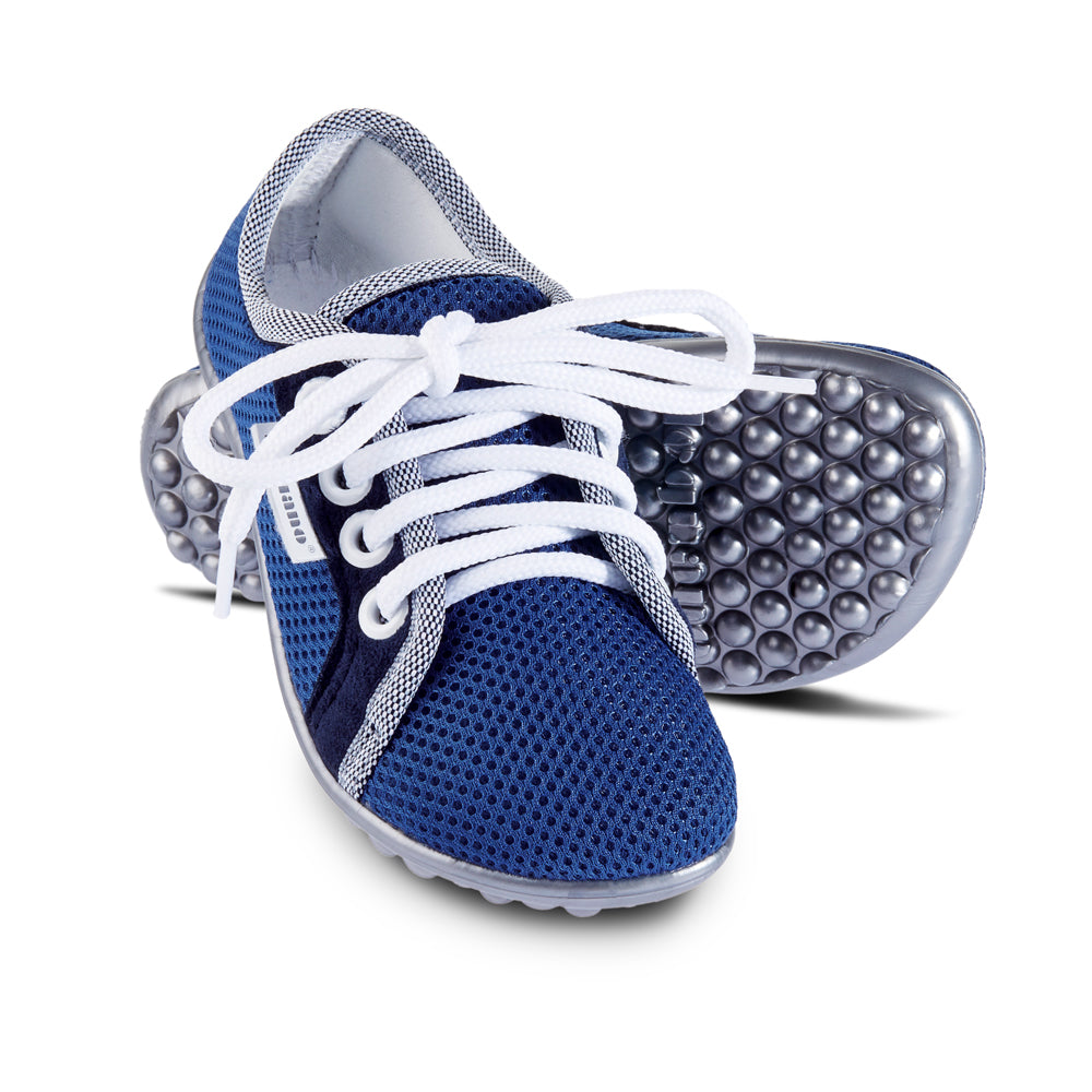 Leguanito blue 32 33