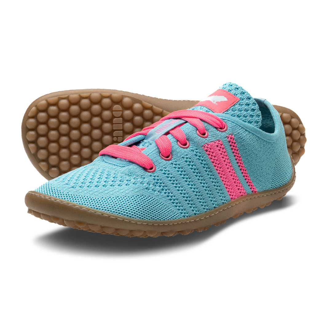 Leguano Caribeo Blue