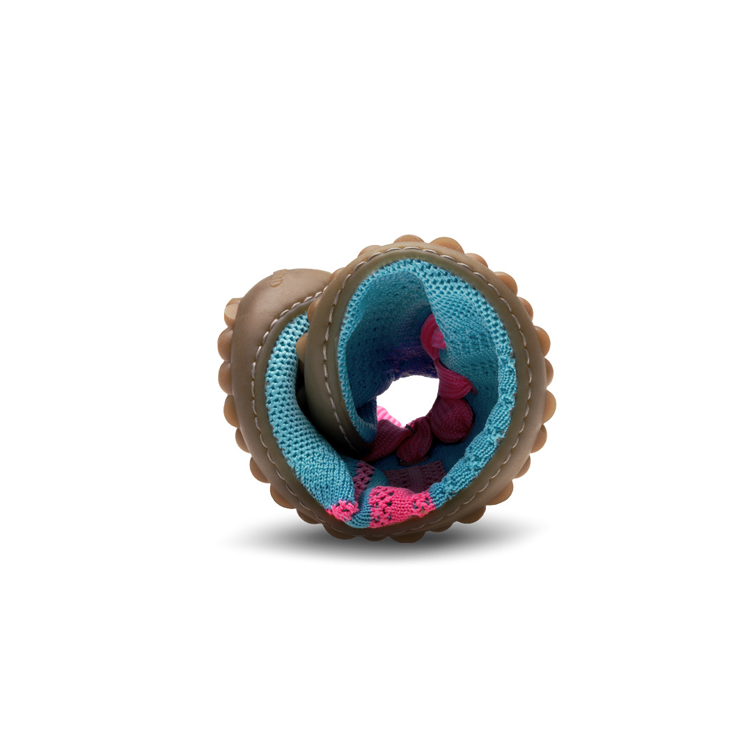 Leguano Caribeo Blue