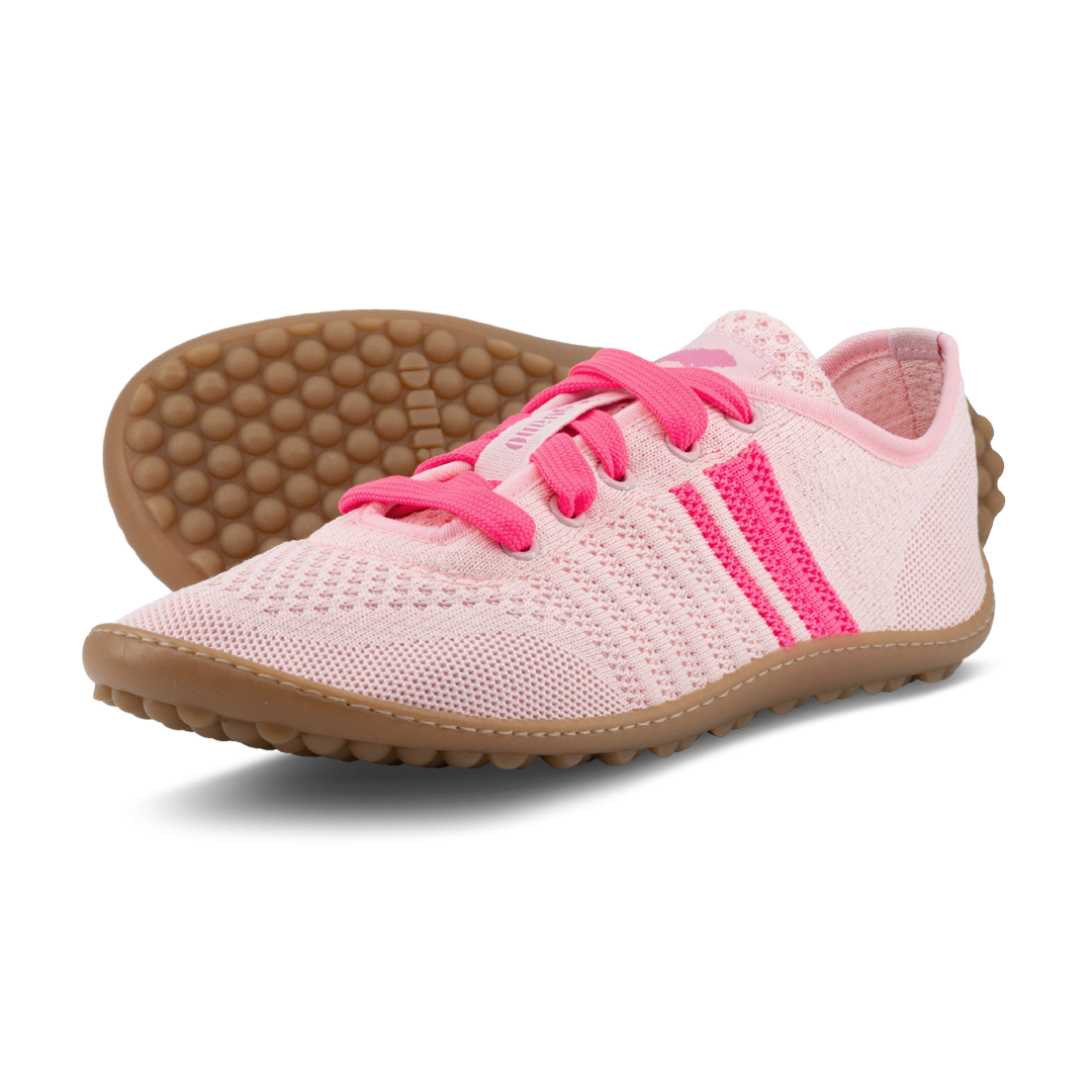 Leguano Caribeo Rose