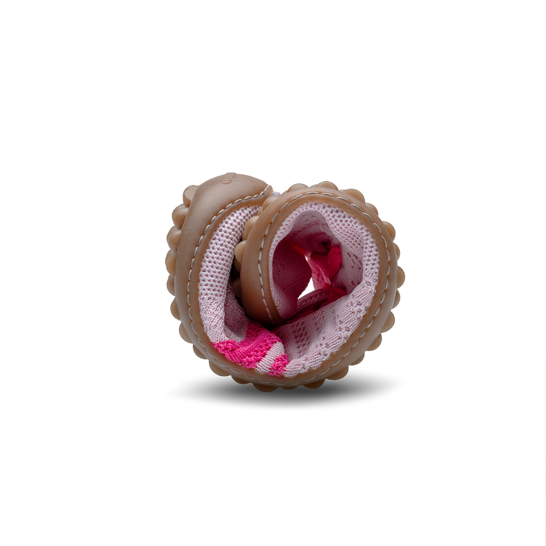 Leguano Caribeo Rose