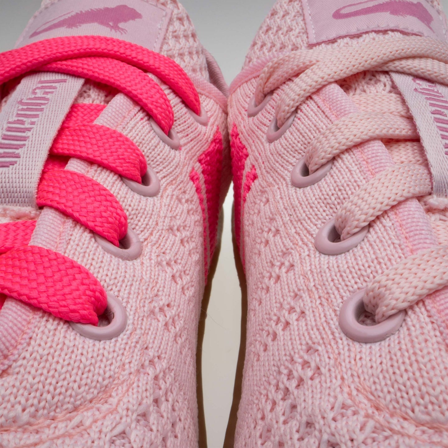 Leguano Caribeo Rose