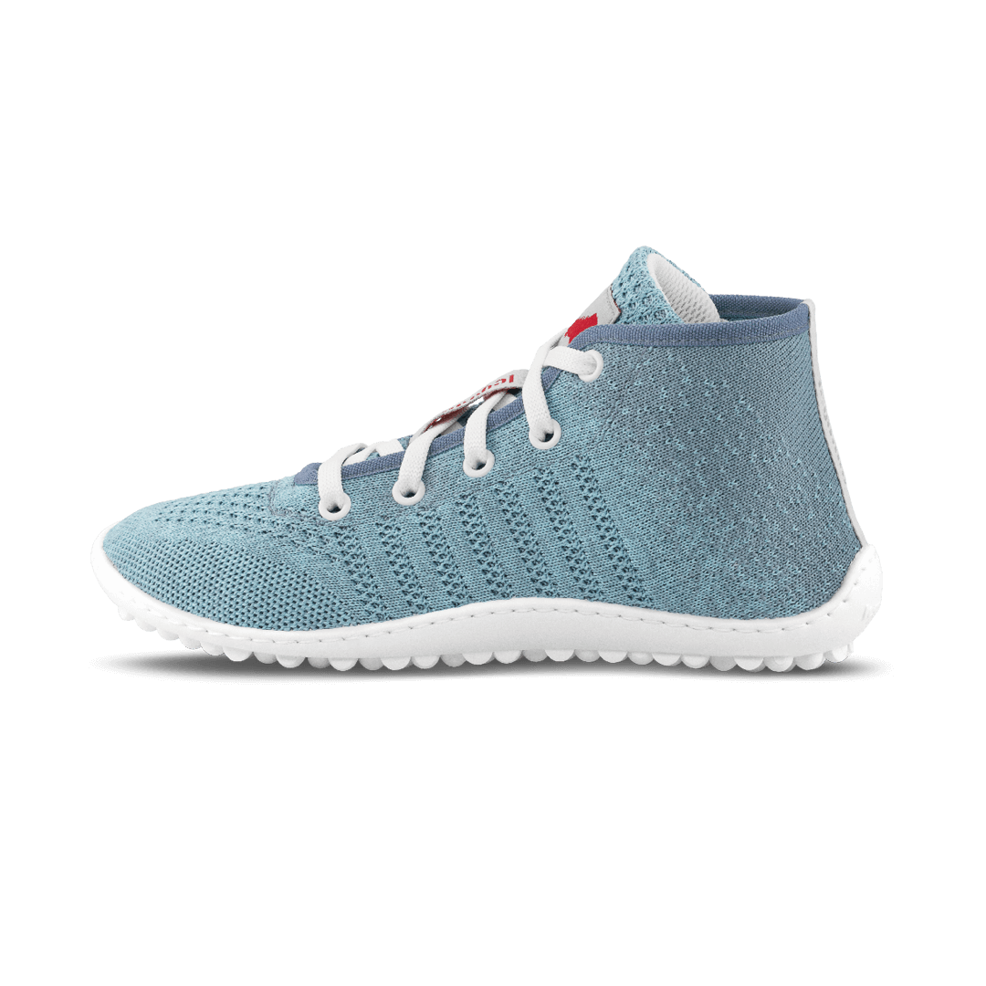 Leguano Go: Seablue