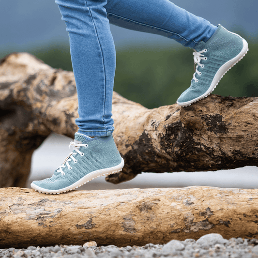 Leguano Go: Seablue