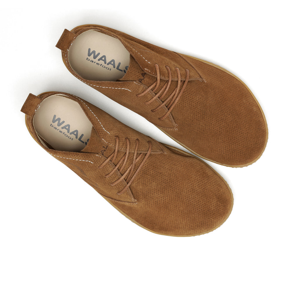 Waals - Riff Setter