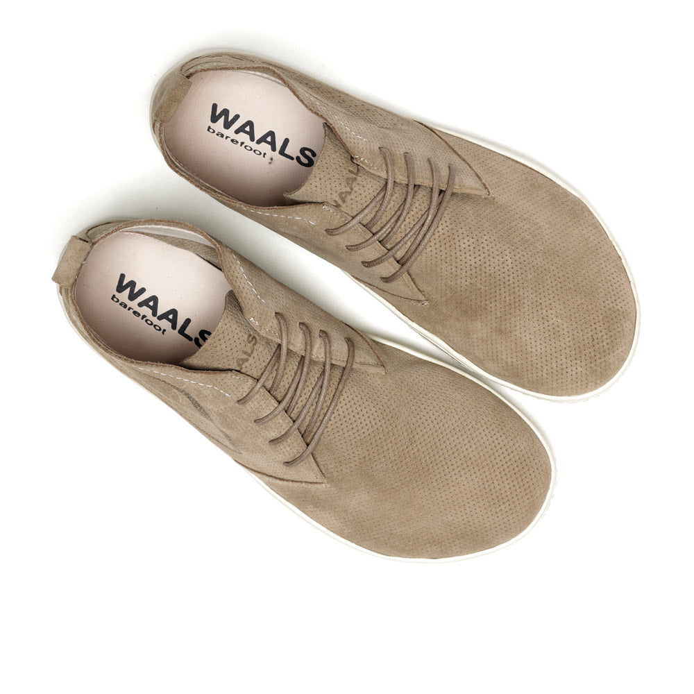 Waals - Riff Stone